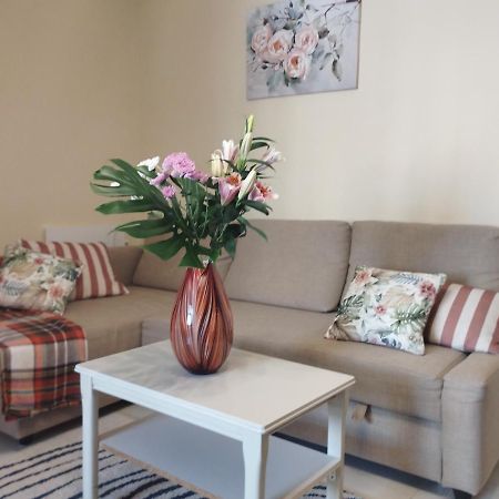 Spacious Apartment La Mata Pool&Beach Torrevieja Dış mekan fotoğraf